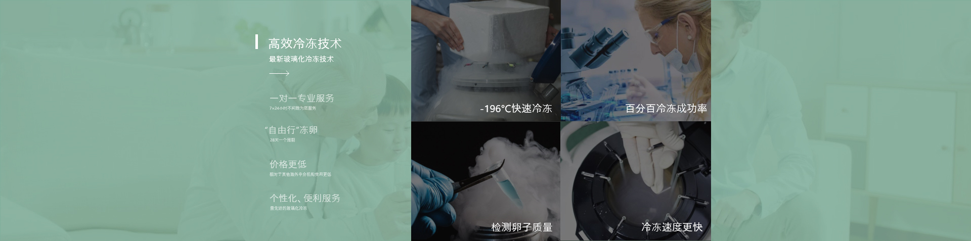 生殖优势